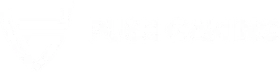 Push Gaming logotyp